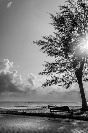 White - Black Point overlooking the sea.の写真素材