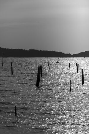 Songkhla lake view Monochromeの写真素材