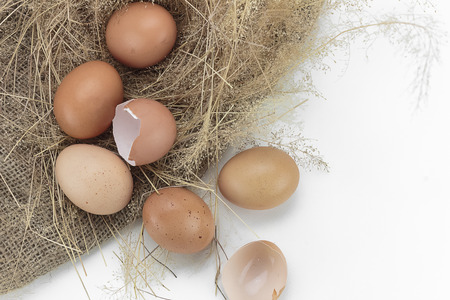 Eggs and eggshell on white background