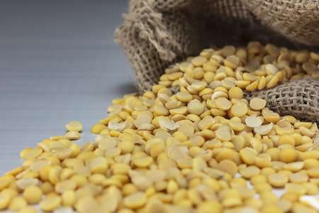 Soya beans For making tofuの写真素材