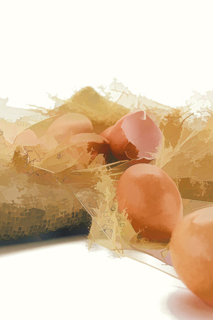 Painting eggs close up on white backgroundの写真素材