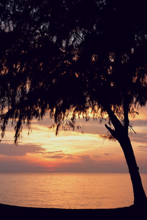 Beautiful natural beauty that will never change Sunrise and sunsetの写真素材