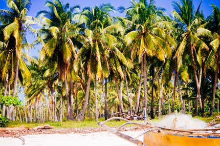 Tropical white sand beach with green palm trees and parked fishing boats in the sand. Exotic island paradiseの写真素材