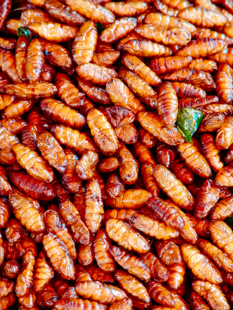 Fried insects on the street food stalls of Asiaの写真素材