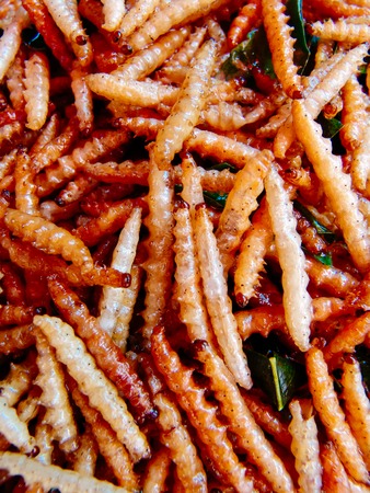 Fried insects on the street food stalls of Asiaの写真素材