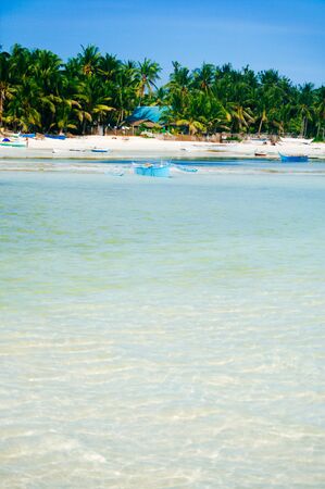 Landscape of paradise tropical island with palms and white sand beach