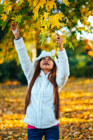 Happy young beautiful woman in autumn park on sunny day picking leaves from the tree, Young woman in white coat during sunset in the parkの写真素材