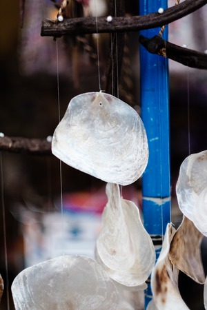 Decorative white abalone handmade abalone shell for decorationの写真素材