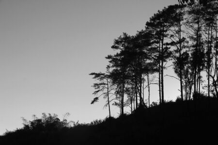 evening in black and whiteの写真素材