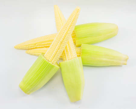 baby corn on whitebackgroundの写真素材