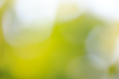 blur nature backgroundの写真素材