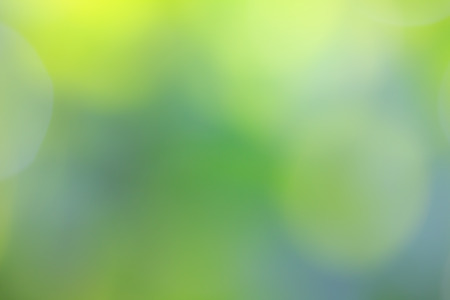blur nature backgroundの写真素材