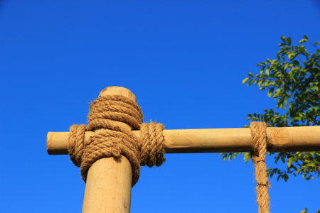 Tied neatly with twine of brown hemp rope to several large pieces of bamboo. The background is a bright blue sky.の写真素材