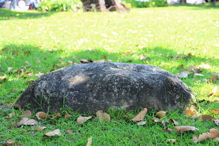 large decorative stone at the park it beautiful and natural.の写真素材