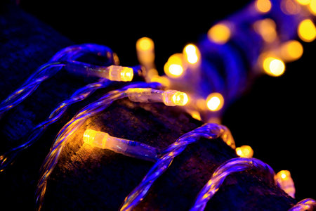 Colorful lights in the park beautiful at night.