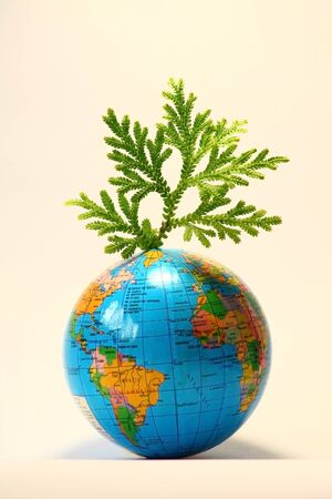 Green leaf on globeの写真素材