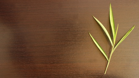 Bamboo leaves on brown wood