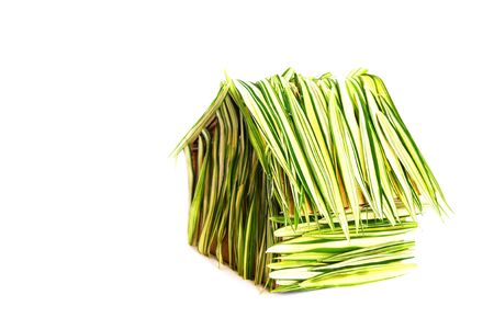 House created from bamboo leaves and cardboardの写真素材