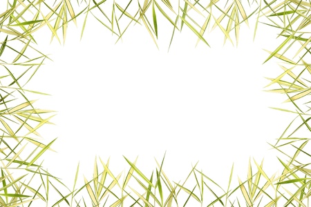 Bamboo leave frameの写真素材