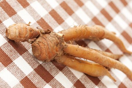 Finger root herbの写真素材