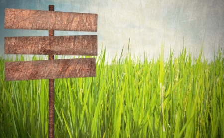 Wood sign on green field grunge style backgroundの写真素材