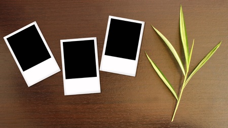 Blank photo frame on wood background with bamboo leaf