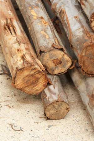 Wood stack