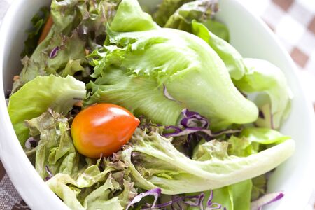 Fresh vegetable saladの写真素材