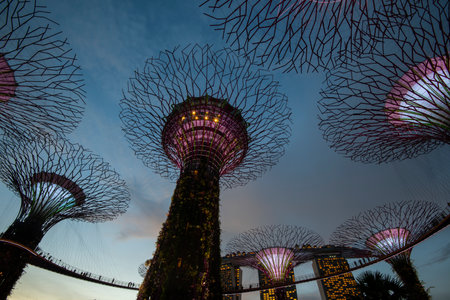 Super tress at garden by the bay in SIngaporeのeditorial素材