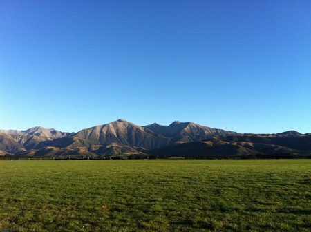 Green field and trees under blue skyの素材