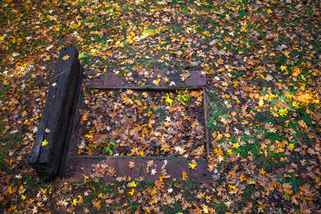 Colors of Fallの写真素材