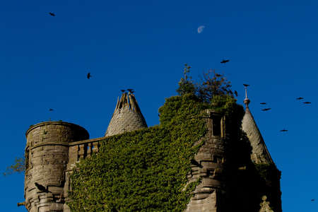 Buchanon castle ruine with crowsの写真素材