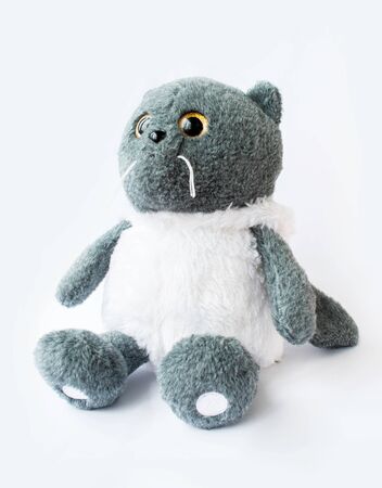 toy cat on a white background. cat of the British breed in the hood. cat from different angles.の写真素材