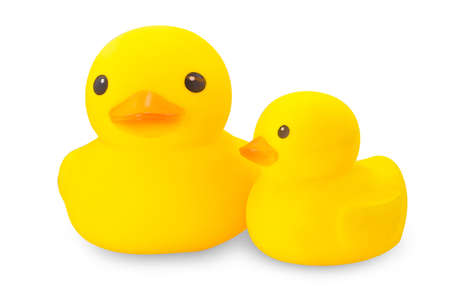 Duck Yellowの写真素材