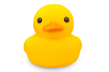Duck Yellowの写真素材
