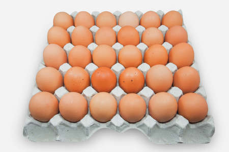 Egg in white corrugated trays.の写真素材