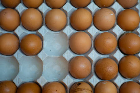 There are many eggs in the panel.の写真素材