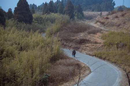 Young men and women Walking on the road togetherの写真素材