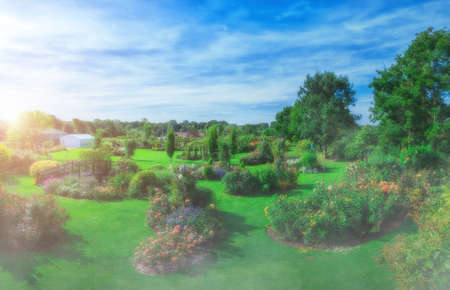 flower gardenの写真素材