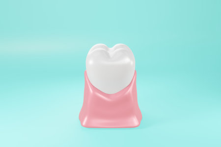 3d render of tooth in gums on blue studio background. illustration minimal style for dental care concept.の写真素材