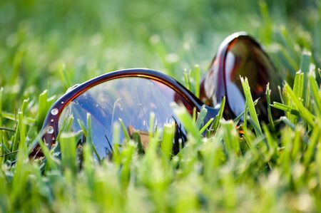 Elegant sunglasses lying on a bright green grassの写真素材