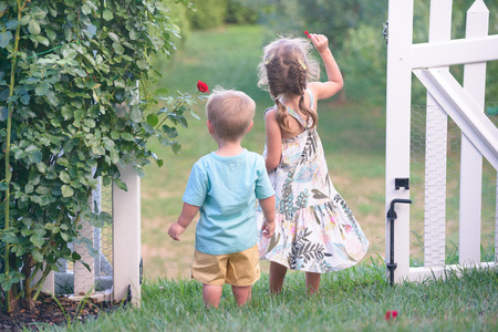 Brother and sister looking down the hill, playing with the flower on the backyardの写真素材