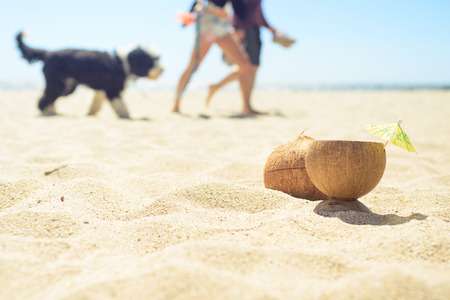 Coconut with drink on the beach with man, woman and dog on backgroundの写真素材