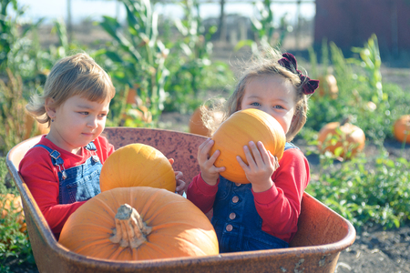Happy girls sitting inside wheelbarrow at field pumpkin patchの写真素材