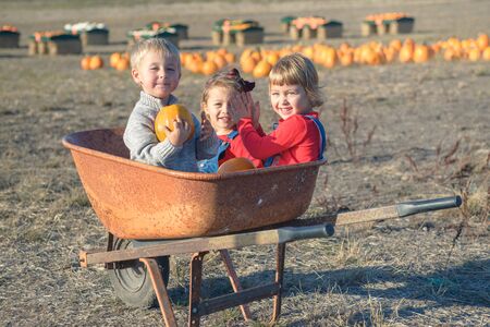 Happy kids sitting inside wheelbarrow at field pumpkin patchの写真素材