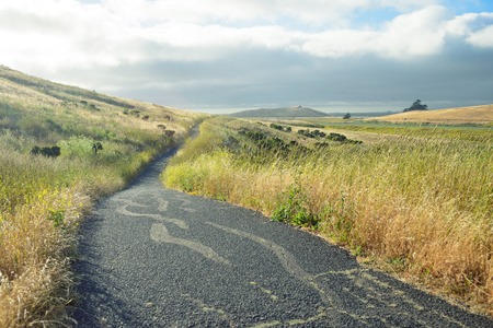 Countryside road in rural landscapeの写真素材
