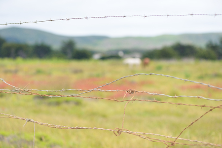 Close up of barbed wire fence on private ranchの写真素材