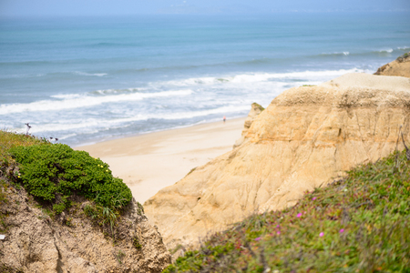 Aerial view of green bluff, beautiful beach and waves in the oceanの写真素材