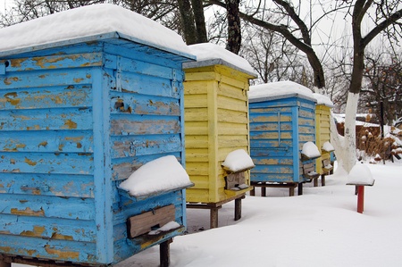 Home for bees in the winter, hive. の写真素材