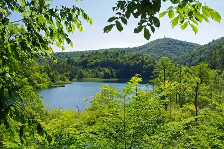 Lake in forest, Plitvica Croatia.の写真素材